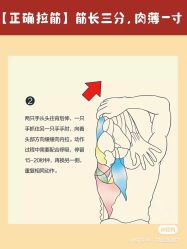 -香薇妮丝女子减肥院