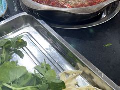 -金鼎雪山牦牛杂火锅(理县总店)