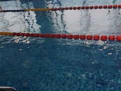 -阳光国际游泳培训基地