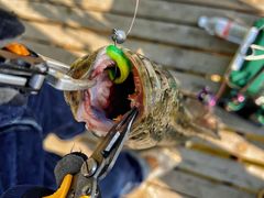 -新怡路亚垂钓园