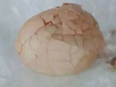 -金盆阿嬷香菇茶叶蛋(玄光店)