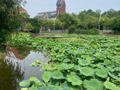 -美兰湖景区