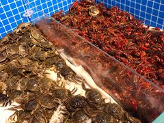 -乔哥铭洋海鲜自助(皇城恒隆广场店)