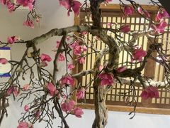 -天天鱼港·海鲜·鲅鱼水饺·招牌烤鸭(黄骅店)