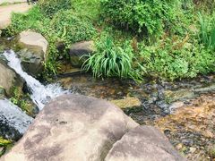 -中国茶叶博物馆(双峰馆区)