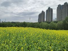 -长白岛森林公园