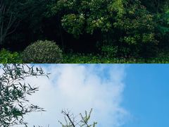-苏州太湖国家湿地公园