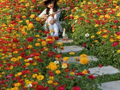 -华东政法大学(松江校区)