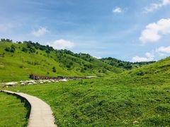 -关山牧场王师烤全羊