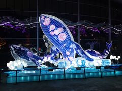 -海合安成都极地海洋公园