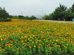 -上海山野camping·户外天幕烧烤·团建拓展营地