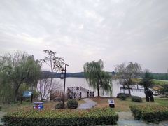 -大塘金香草谷