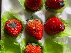 -大昌超市(中环店)