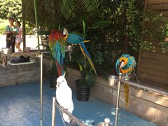 -陕西自然博物馆