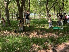 -嘉北郊野公园