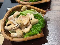 -滇野云南野生菌餐厅(陕西南路店)