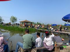 -同銮特种养殖场·龙虾垂钓