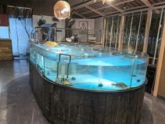 -耕渔小院·湖南鱼鲜(望城店)