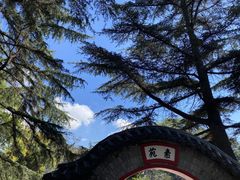 -湛山寺