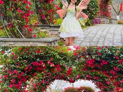 -东莞植物园