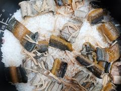 -天鹅到家·保姆月嫂育儿嫂(天河店)