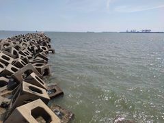 -东疆建设开发纪念公园