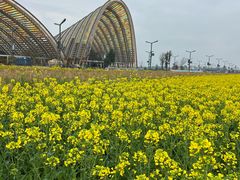 -中国天府农业博览园