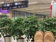 -杭州萧山国际机场