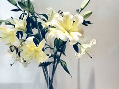 -柏乐口腔医院·舒适化无痛种植牙中心(东盟商务区院)