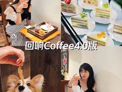 -echoes coffee回响咖啡(红山店)