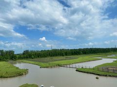 -溱湖国家湿地公园