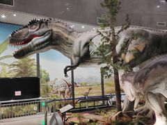 -湖南省地质博物馆