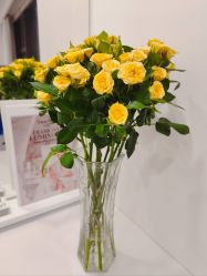 -JNK皮肤管理中心