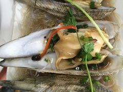 -莲花公园煎蟹(总店)