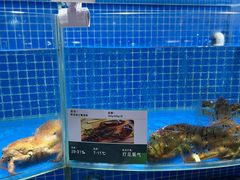-七鲜超市(通州ONE店)