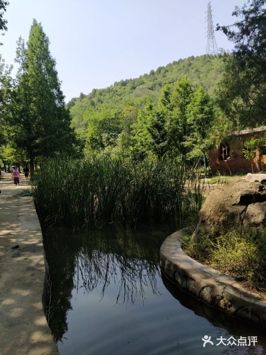 白水寺森林公园图片
