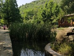 -白水寺森林公园