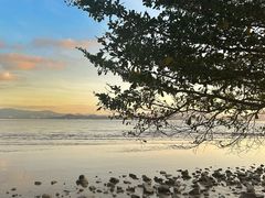 -深圳湾公园(南山区)