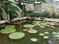 -国家植物园南园