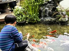 -道南書院·私房菜·早午茶·茶馆