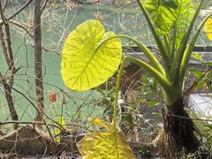 -仙店农庄(湖景农庄餐厅)