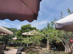 -桃源山庄·水蜜桃采摘·柴火鸡·烧烤团建(龙泉山店)
