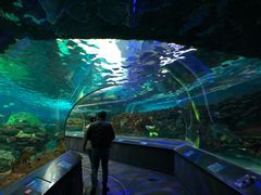 -瑞普利水族馆