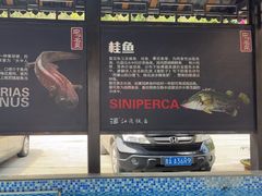 -江龙饭店·乌江豆腐鱼(乌江老桥头店)