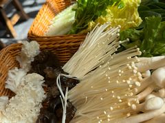 -四喜小胖·北京涮肉(五道营店)