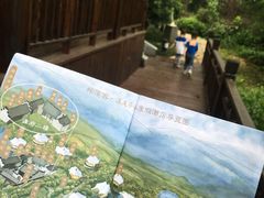 -帐篷客·溪龙茶谷度假酒店