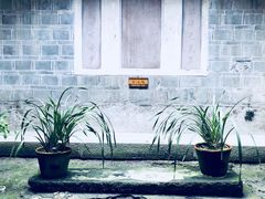 -陈家桅杆