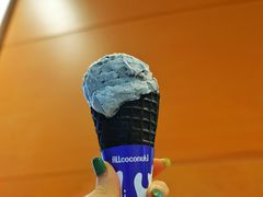 原味椰子灰冰淇淋-蔻蔻椰·鲜萃椰子水(欢乐港湾店)
