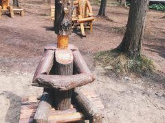 -黄海国家森林公园