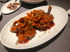 松鼠桂花鱼-金鸭季·北京烤鸭(深业上城店)